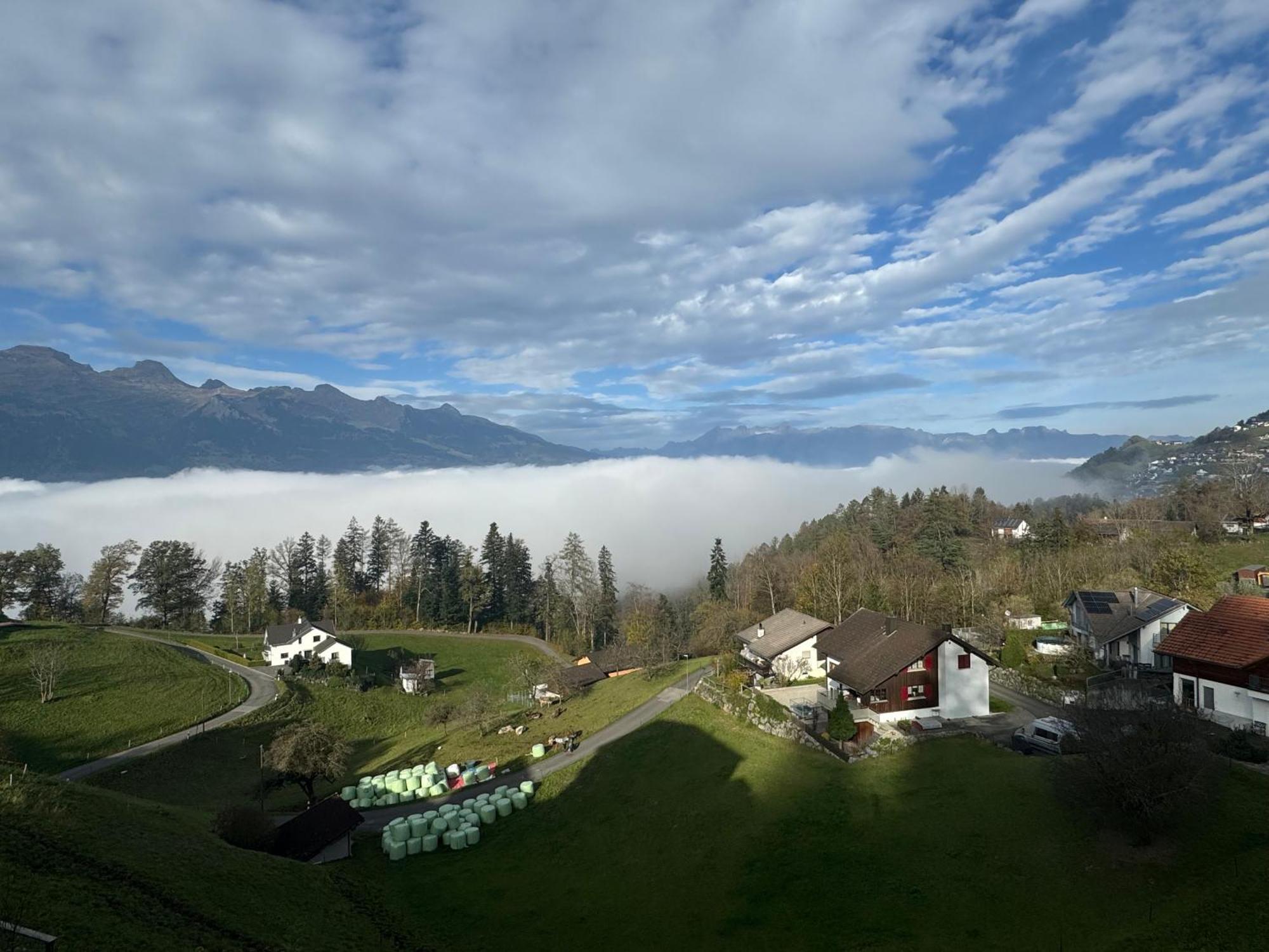 Alpenhaus, Farmhouse Appartement Triesenberg Buitenkant foto